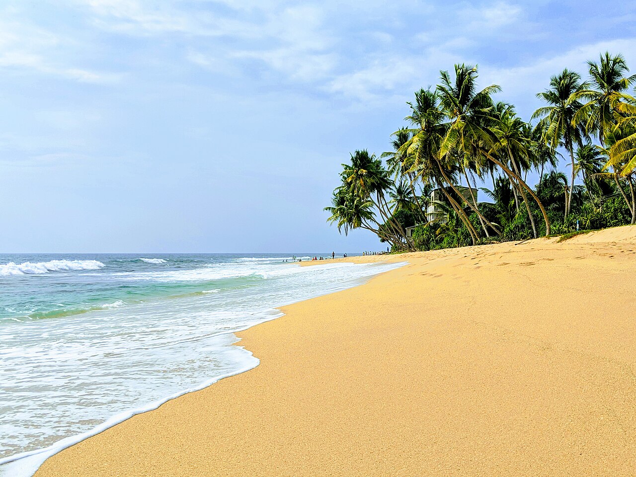 Scenic Sri Lanka Landscape