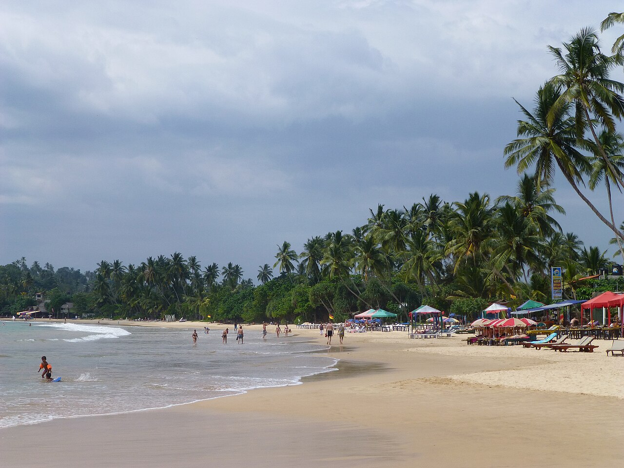 Palm-fringed beach in Mirissa, Sri Lanka