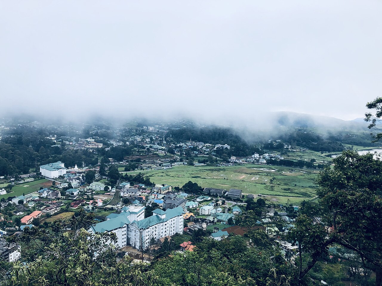 Emerald tea plantations in Nuwara Eliya, Sri Lanka